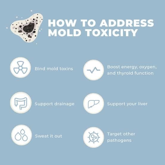 Mold Sickness