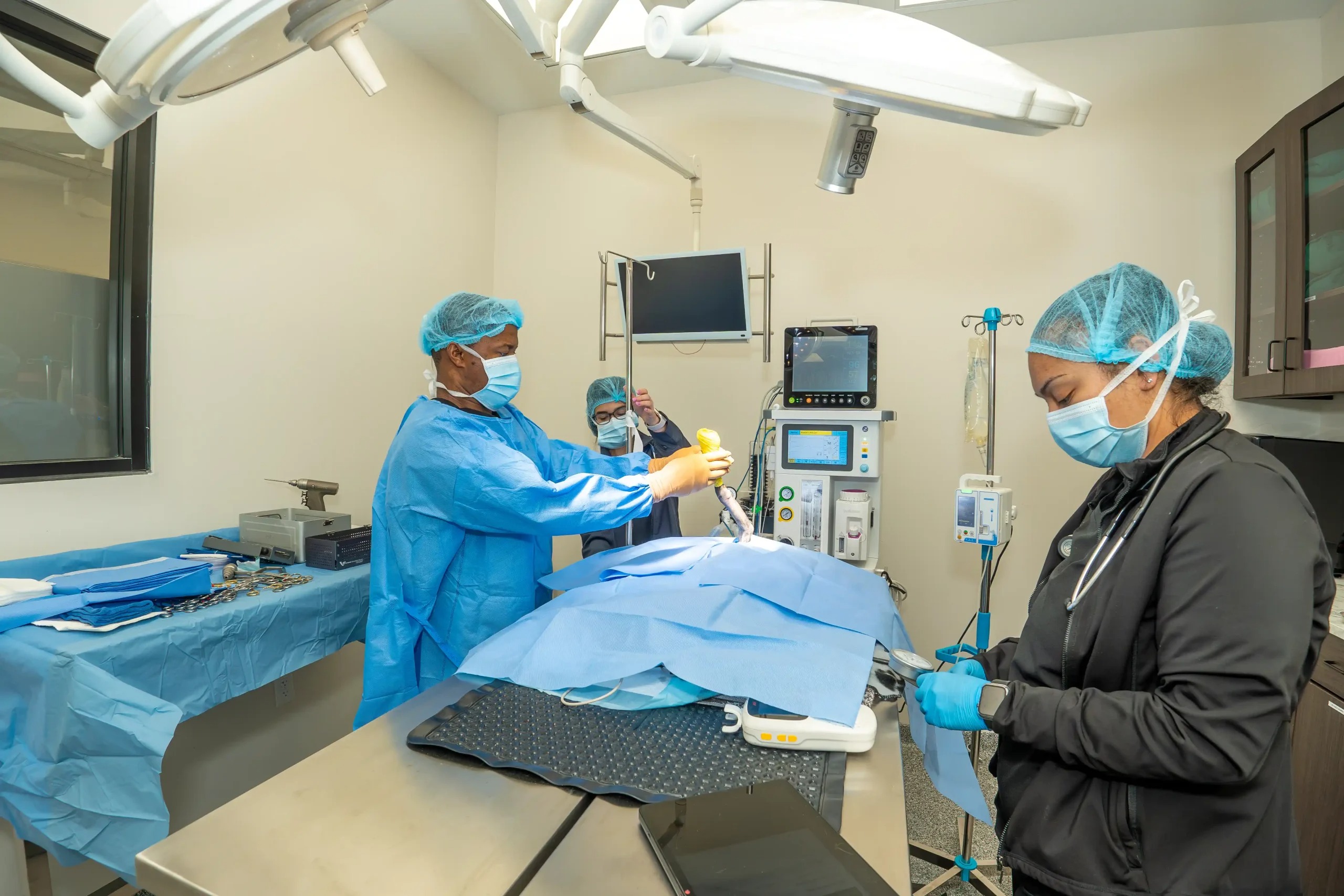 What a Real Texas Veterinary Hospital Looks Like in Katy TX